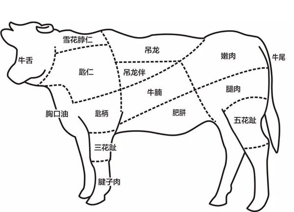 冷凍牛肉進(jìn)口報關(guān)需注意的操作細(xì)節(jié)