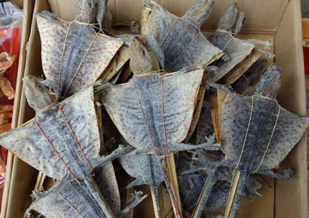 Look!上海港進口蛤蚧代理清關的基本要求