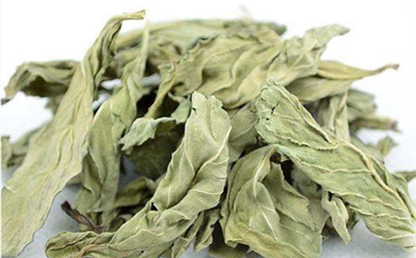 干薄荷葉進口報關的流程是怎樣的？
