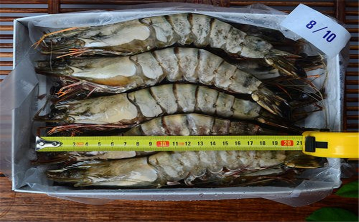 進口泰國蝦清關(guān)流程有哪些?泰國蝦能進口嗎?