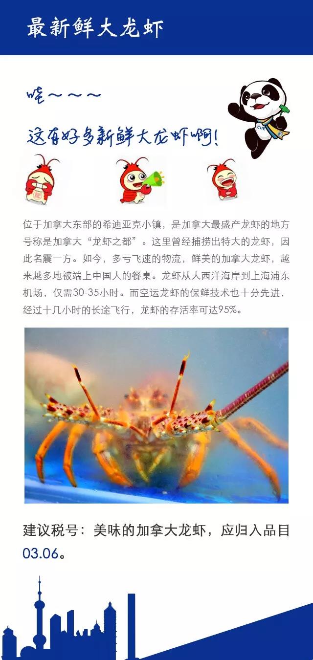 首屆中國(guó)國(guó)際進(jìn)口博覽會(huì)|進(jìn)博會(huì)上的那些新鮮玩意如何歸類?