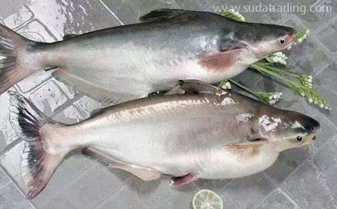 國外巴沙魚進(jìn)口報關(guān)清關(guān)一站式代理服務(wù) 國外巴沙魚進(jìn)口報關(guān)清關(guān)一站式代理服務(wù)