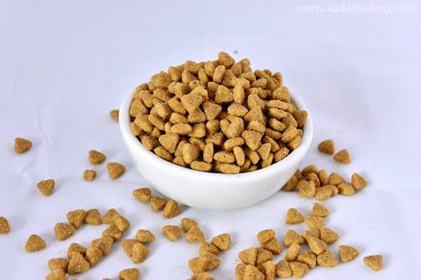 寵物食品如何清關？你想知道的都在這兒！