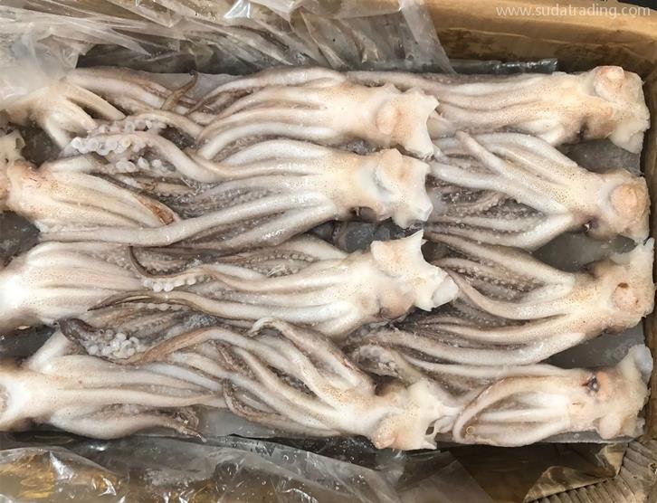 冷凍魷魚進口報關(guān)的注意事項以及流程手續(xù)