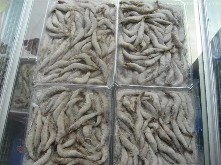 天津冷凍產(chǎn)品進口報關公司