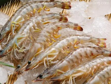 水產(chǎn)品深圳機場進口清關代理資料如下！