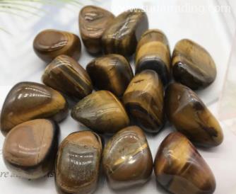 上海進口德國?；穲箨P(guān)的注意事項