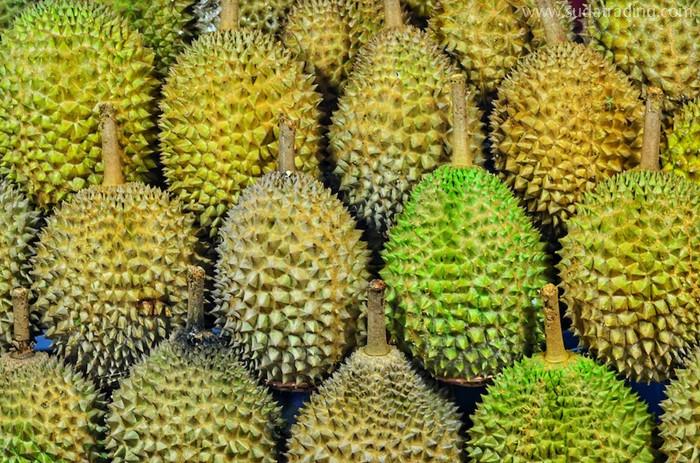 泰國進口榴蓮清關(guān)需要多久？