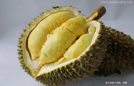 桂林進(jìn)口泰國(guó)榴蓮報(bào)關(guān)流程泰國(guó)榴蓮進(jìn)口空運(yùn)費(fèi)用