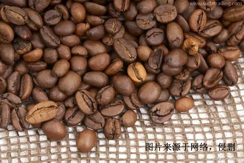 印尼進口報關(guān)行哪家好？印度尼西亞可可豆清關(guān)資料