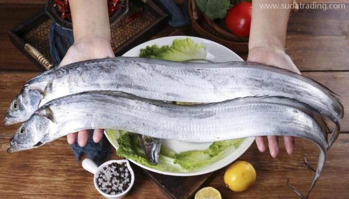 【進(jìn)口知識(shí)】一文帶你了解帶魚