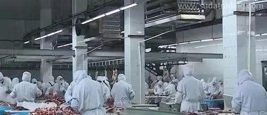 【進(jìn)口知識】進(jìn)口俄羅斯牛肉檢驗檢疫和衛(wèi)生要求