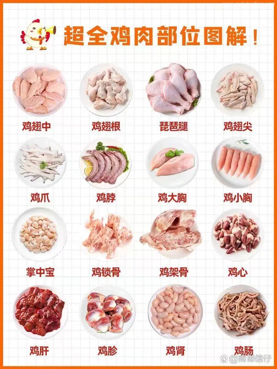 【進(jìn)口知識】帶你了解進(jìn)口雞類產(chǎn)品的世界