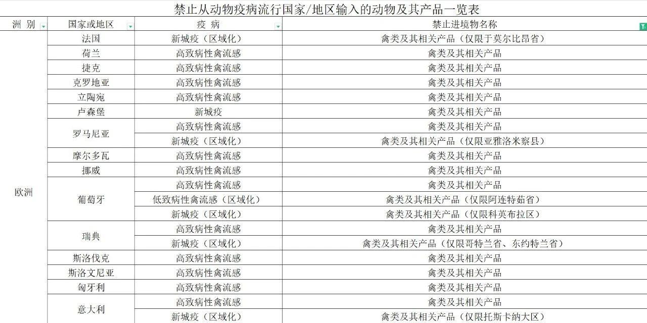 【進(jìn)口知識】帶你了解進(jìn)口雞類產(chǎn)品的世界